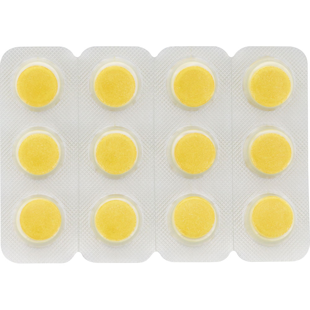 【第2類医薬品】ストッパ下痢止めEX 12錠 ライオン